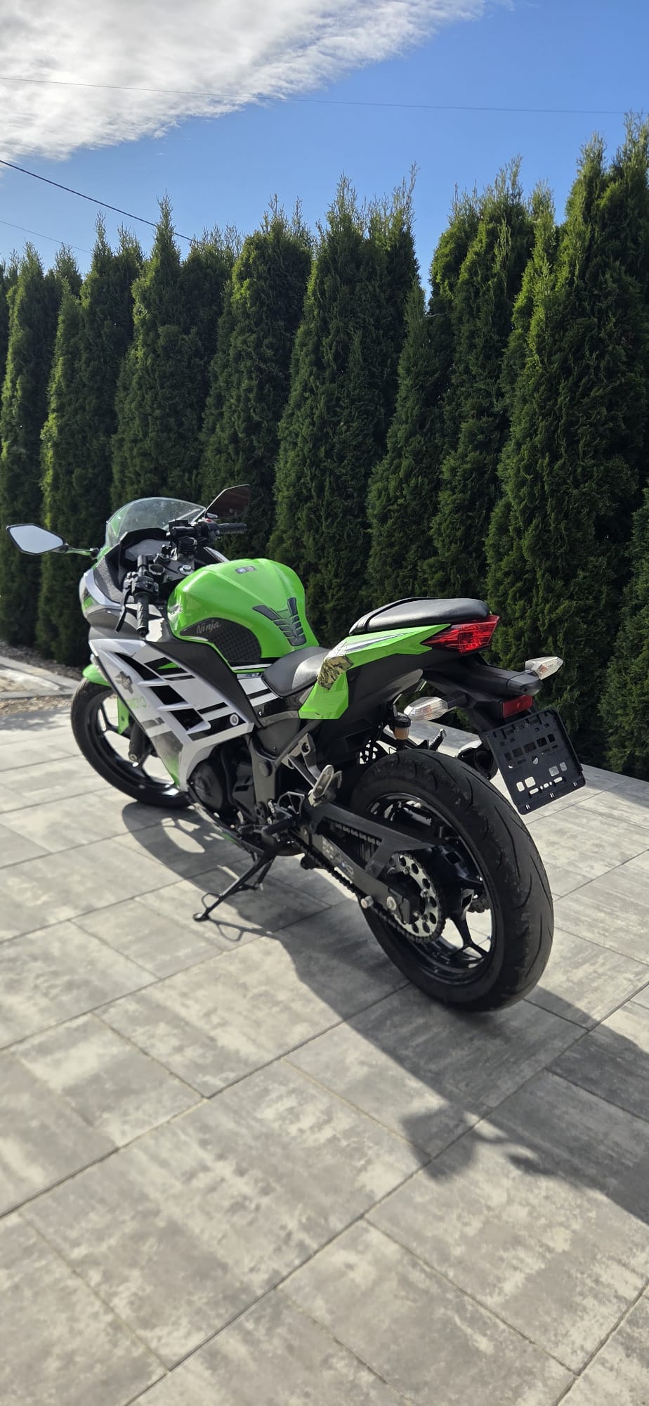 Kawasaki Ninja 300